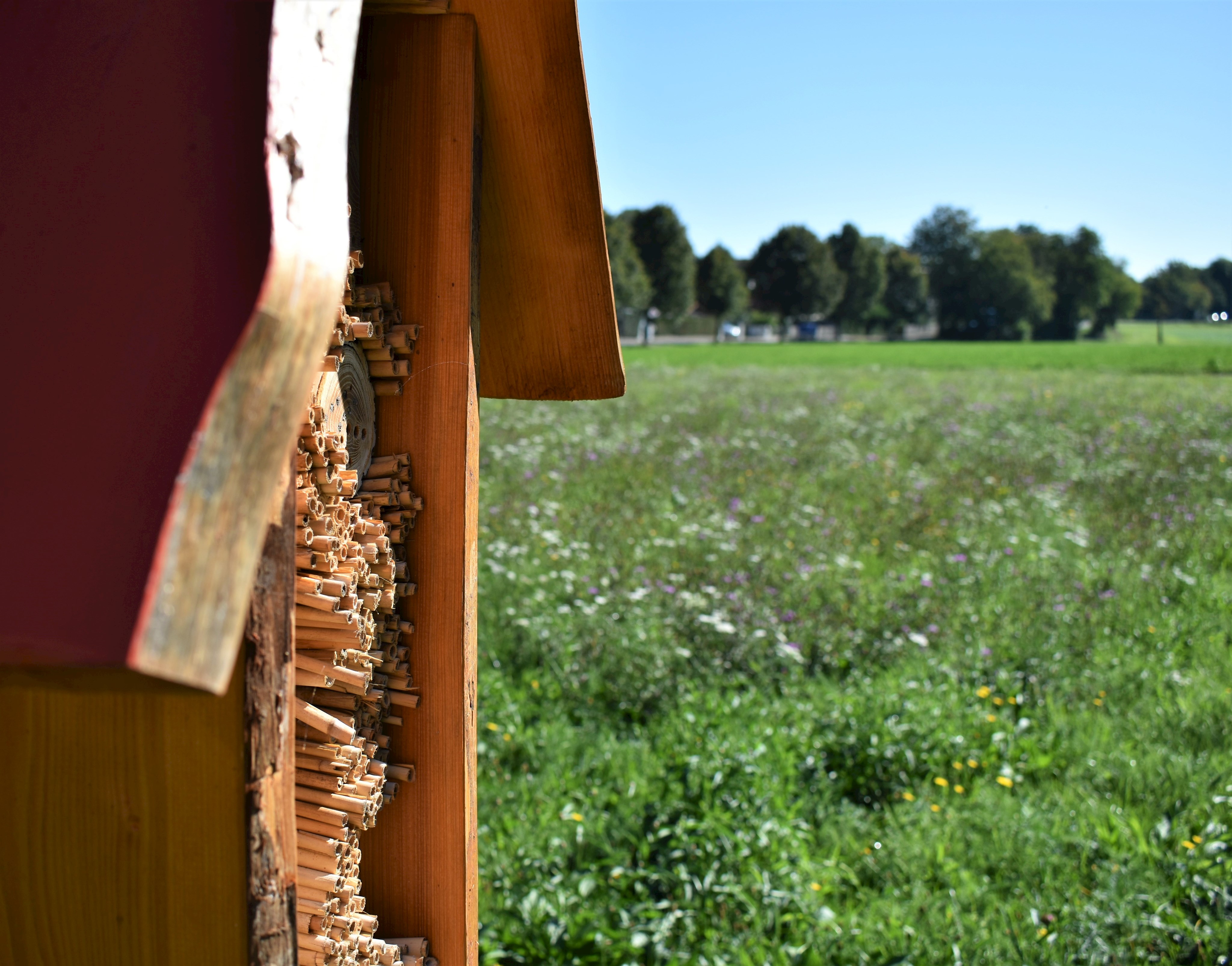 Insektenhotel auf der Blühwiese an der Siedlerstraße