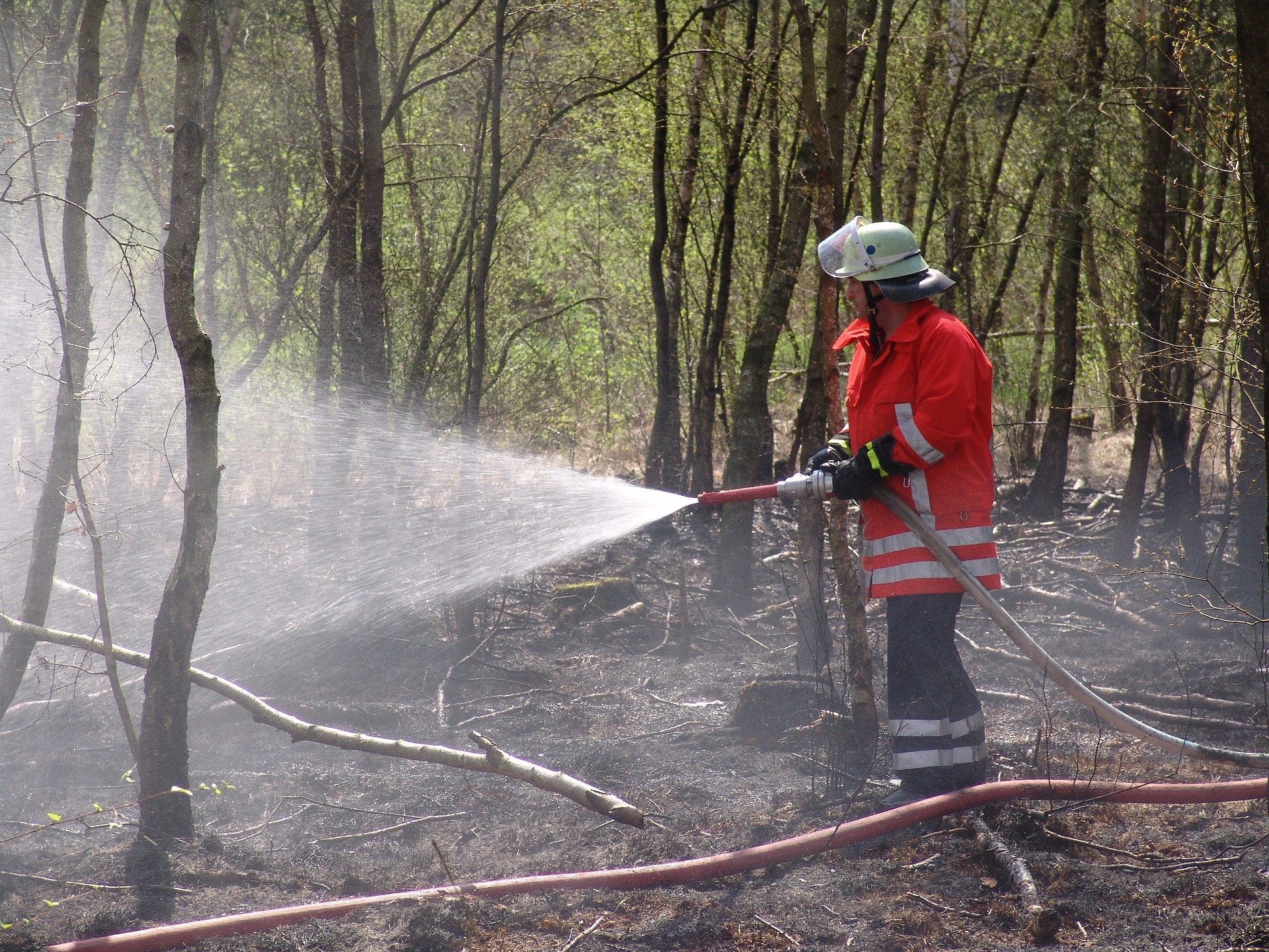 Akute Waldbrandgefahr