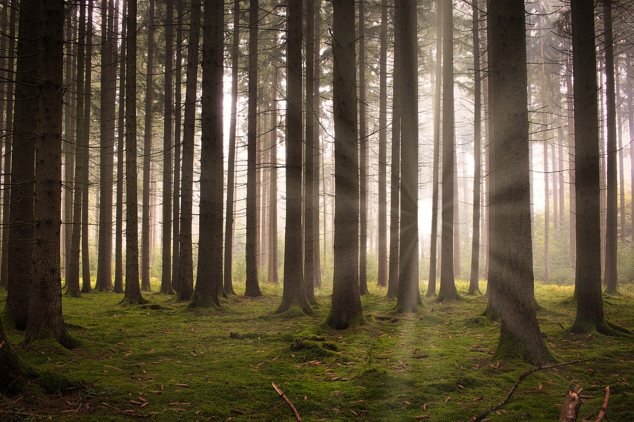 Waldbesitzer aufgebpasst!